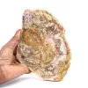Bois fossilisé polis naturel - 0