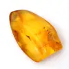 Ambre jaune Galet – Spécimen de la Baltique, objet authentique - 0