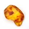 Petit Galet Ambre jaune – Objet de Collection fossile - 0