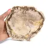 Tranche de Bois Pétrifié Malgache - Esthétisme Minéral - 0
