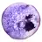 Tranche d'Agate Massive du Brésil, Nuances Violettes