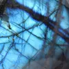 Pierre Naturelle Labradorite Polie Madagascar Collection - 4