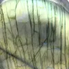 Pierre Ornementale Labradorite de Madagascar pour Vitrine - 4